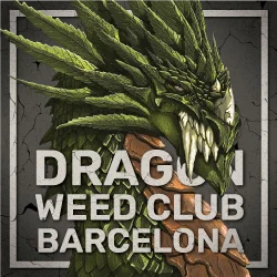 Dragon Cannabis Club Review