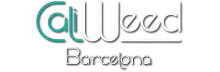Cali Weed Barcelona
