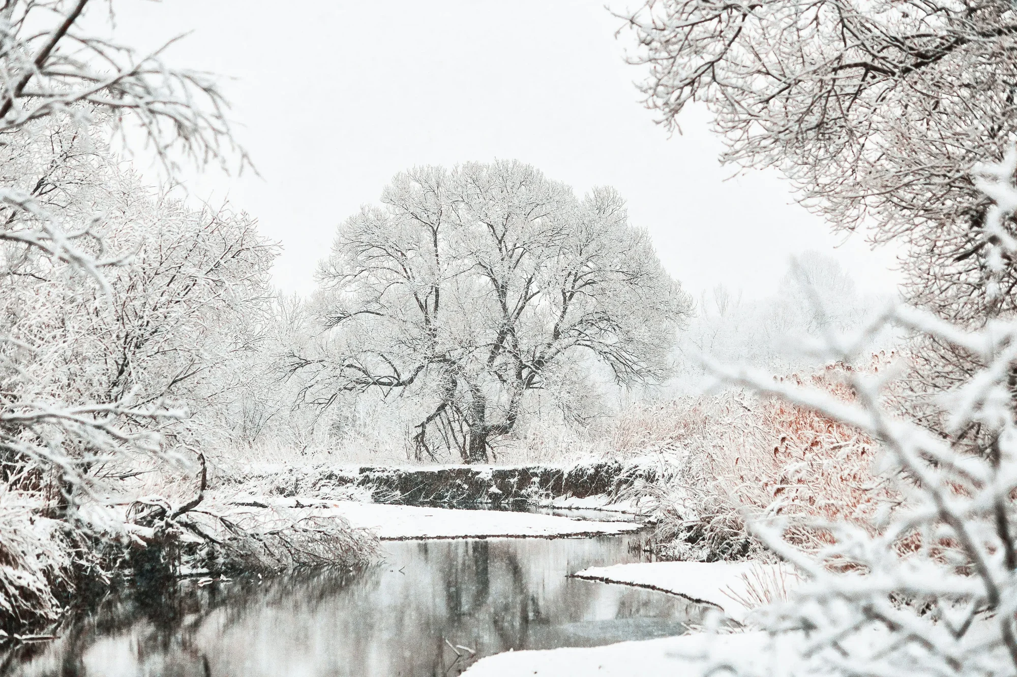 snowed park